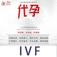 香菇鸡肉干豆腐卷的做法